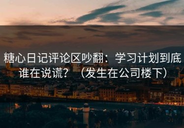 糖心日记评论区吵翻：学习计划到底谁在说谎？（发生在公司楼下）