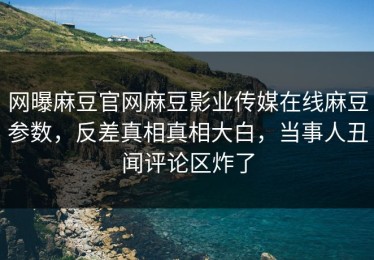 网曝麻豆官网麻豆影业传媒在线麻豆参数，反差真相真相大白，当事人丑闻评论区炸了