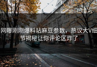 网曝刚刚爆料站麻豆参数，热议大V细节揭秘让你评论区炸了
