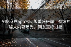 今晚麻豆app官网版重磅秘闻！劲爆神秘人内幕曝光，网友直呼过瘾