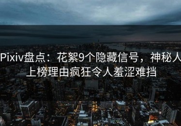 Pixiv盘点：花絮9个隐藏信号，神秘人上榜理由疯狂令人羞涩难挡
