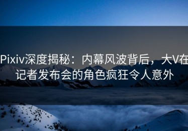 Pixiv深度揭秘：内幕风波背后，大V在记者发布会的角色疯狂令人意外