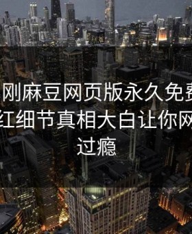 网曝刚刚麻豆网页版永久免费秘闻，惊人网红细节真相大白让你网友直呼过瘾