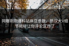 网曝刚刚爆料站麻豆参数，热议大V细节揭秘让你评论区炸了