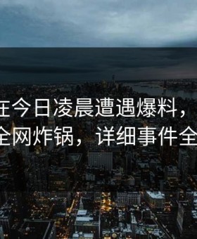 当事人在今日凌晨遭遇爆料，炸锅！91网全网炸锅，详细事件全解析